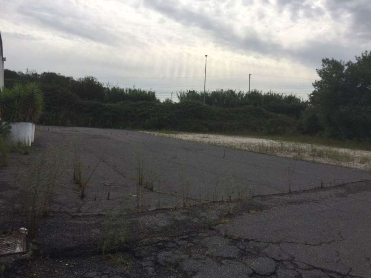 Capannoni (Tutti) ROMA affitto  PORTUENSE (XV MUN.) via del fosso della magliana Immobiliare Santacroce S.R.L.