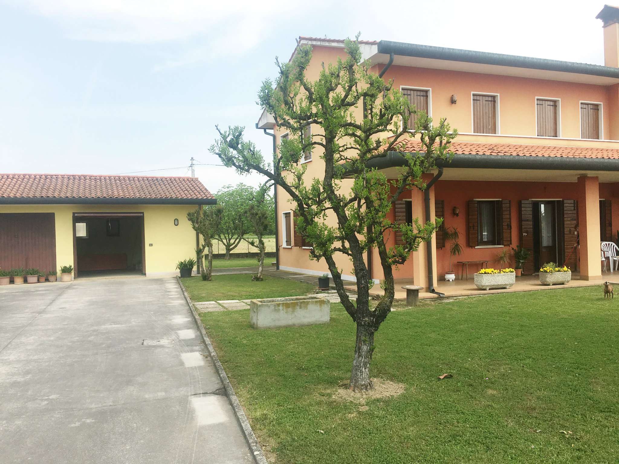 Villa Bifamiliare NOALE vendita   sandono Occasione Casa