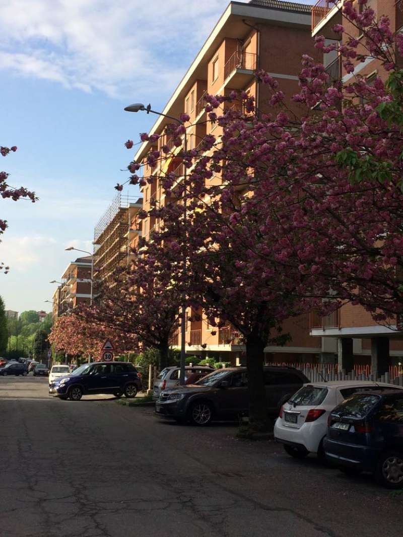 Appartamento COLLEGNO vendita   la pira G L IMMOBILIARE CENTRO SERVIZI