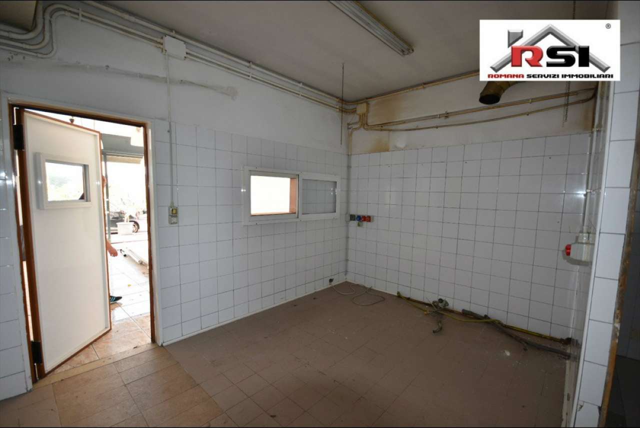 Negozio - Loc.Com. ROMA vendita  ARDEATINO  Viale Londra romana servizi immobiliari