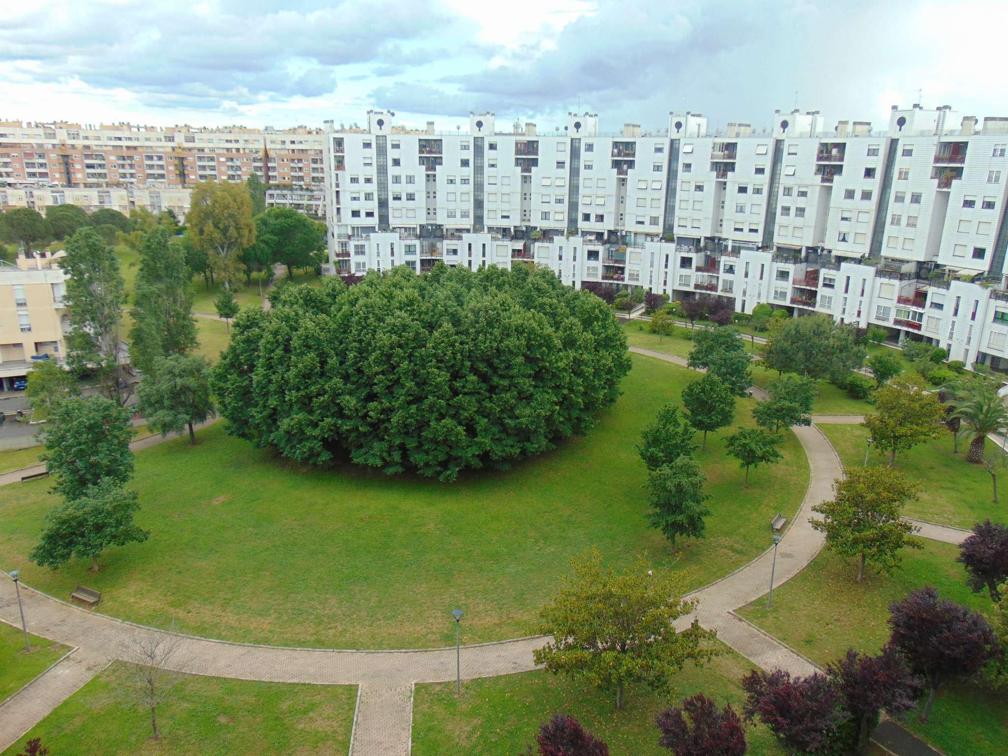 Appartamento ROMA vendita  ARDEATINO  Via Renato Cesarini romana servizi immobiliari