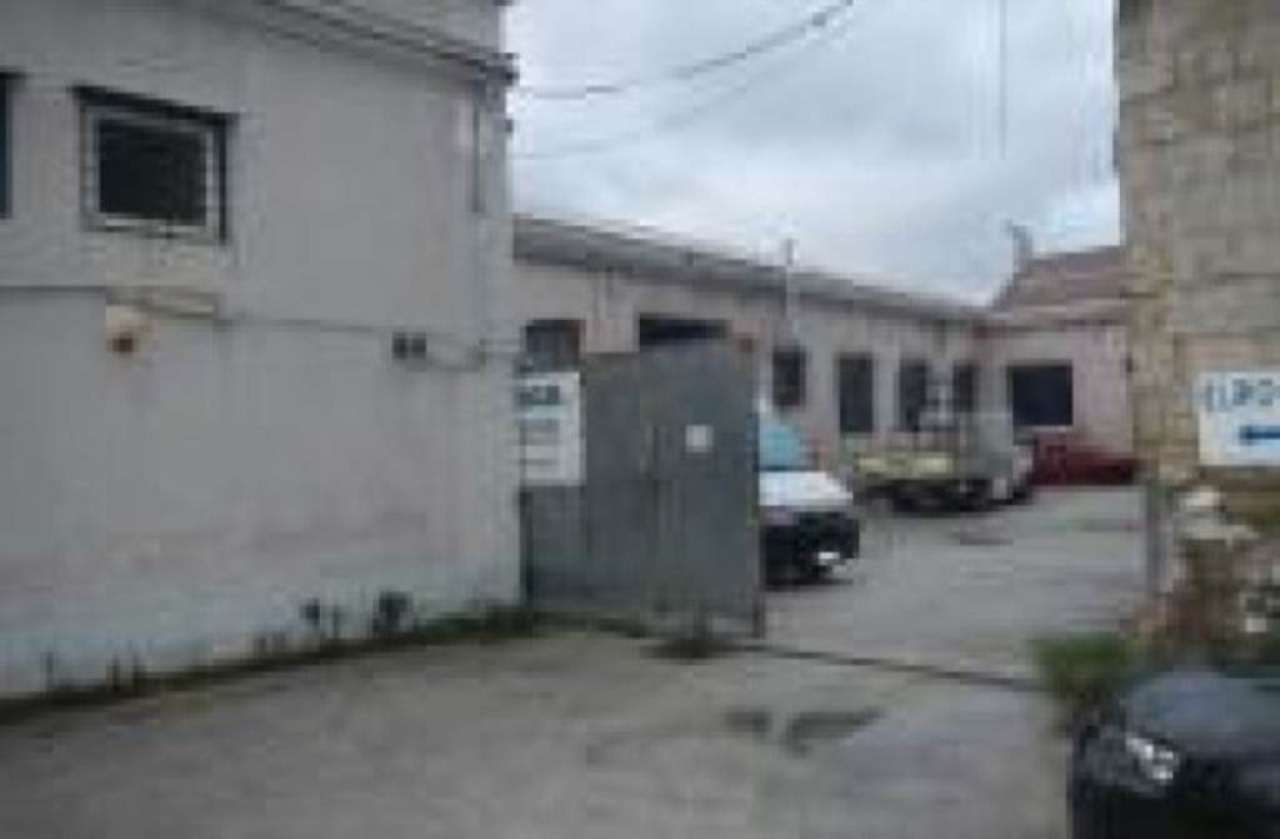 Capannoni (Tutti) NAPOLI vendita  SAN GIOVANNI A TEDUCCIO San Giovanni I.P.N. Immobiliare della Provincia di Napoli Srl