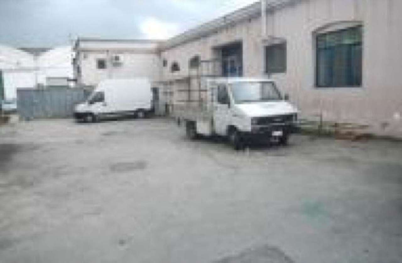 Capannoni (Tutti) NAPOLI vendita  SAN GIOVANNI A TEDUCCIO San Giovanni I.P.N. Immobiliare della Provincia di Napoli Srl