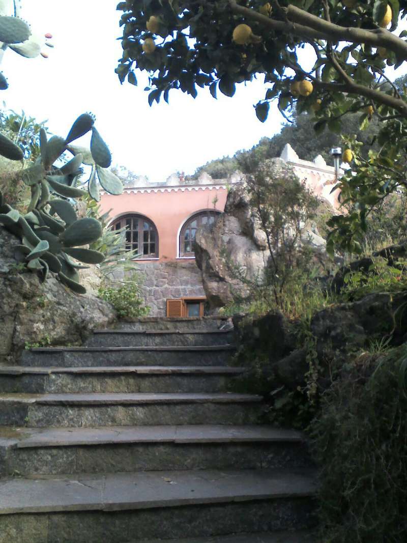 Villa FORIO vendita   calise I.P.N. Immobiliare della Provincia di Napoli Srl