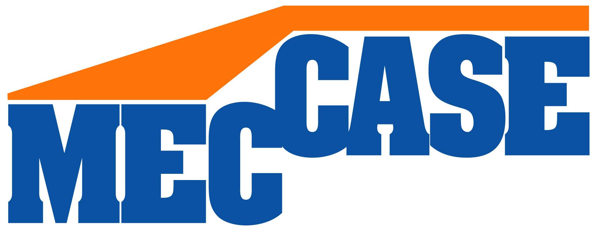 Negozio - Loc.Com. TORINO affitto  CENTRO VITTORIO EMANUELE SECONDO MEC-CASE