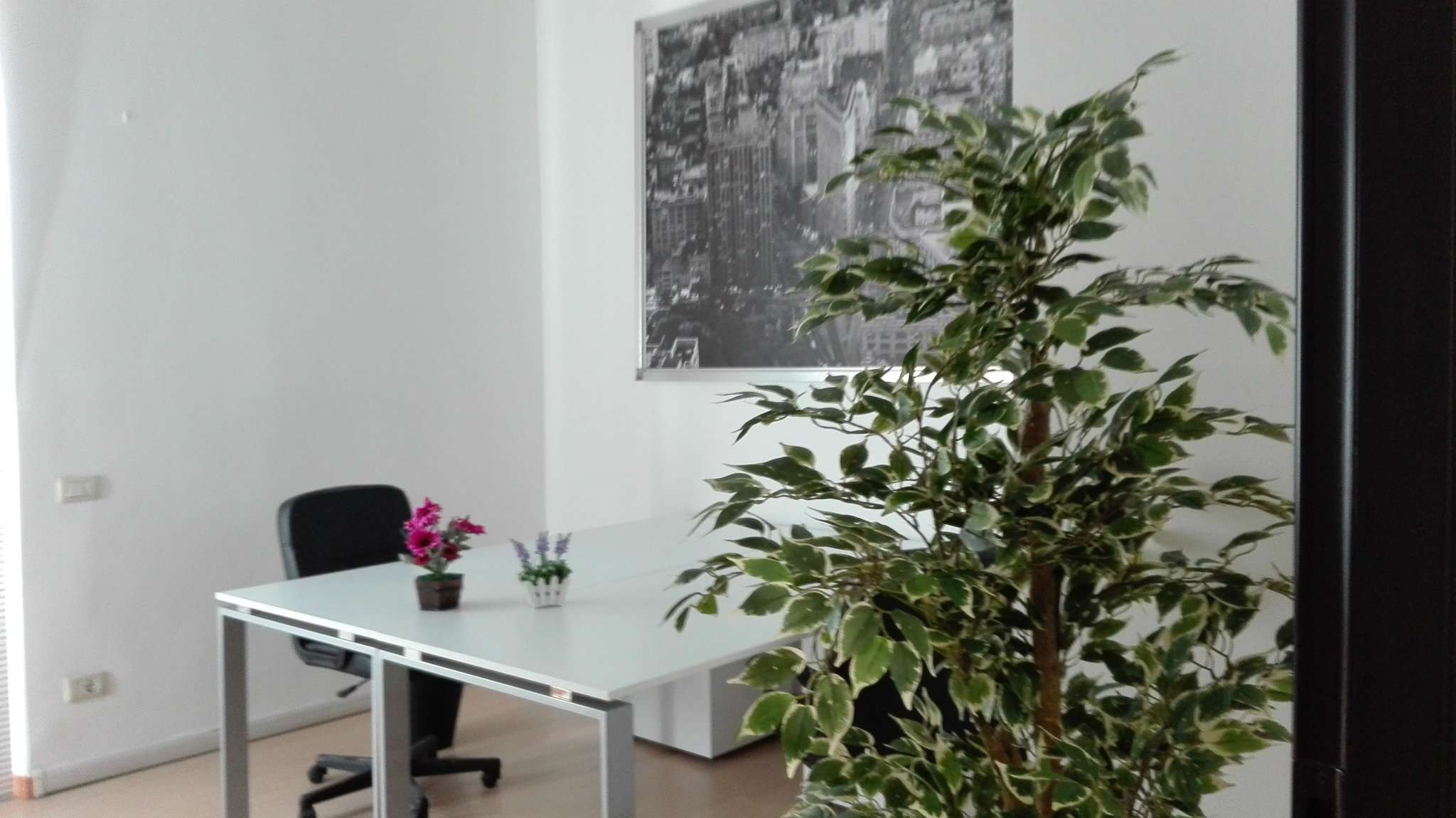  milano affitto quart: buenos aires consulenteimmobiliare