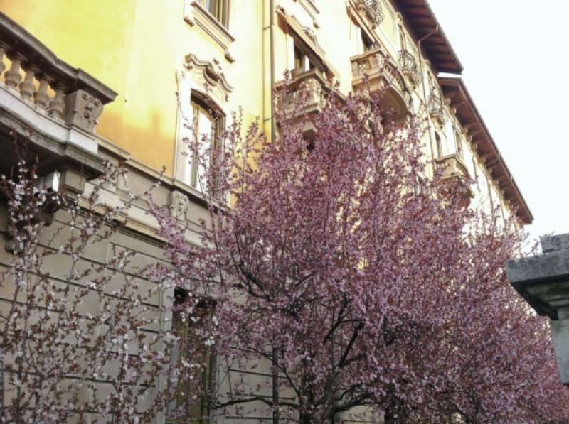 Appartamento VARESE affitto  CENTRO Padre Gian Battista Aguggiari SIM. IMMOBILIARE