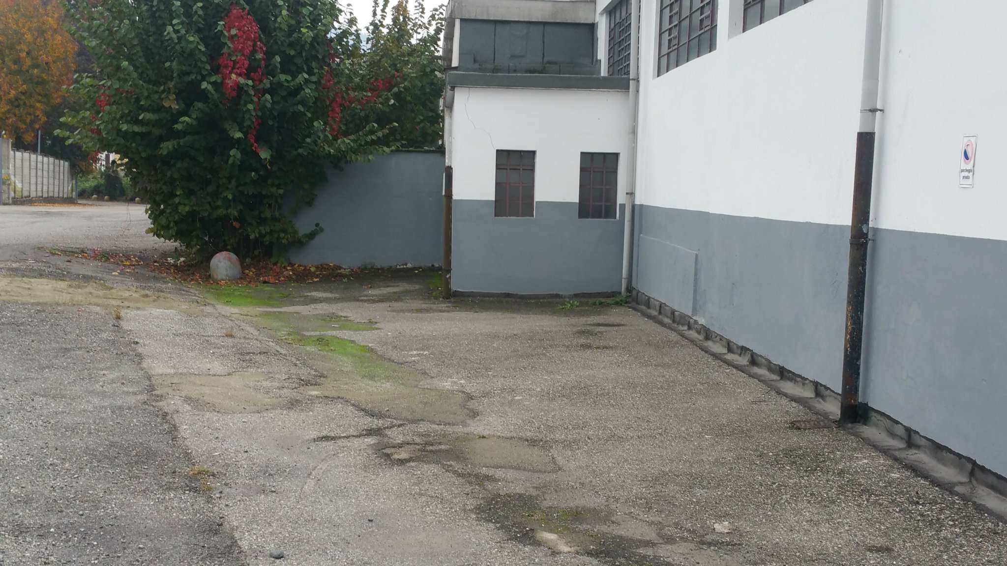 Capannoni (Tutti) TORINO affitto  FALCHERA settimo Studio Immobiliare Be.Ca sas