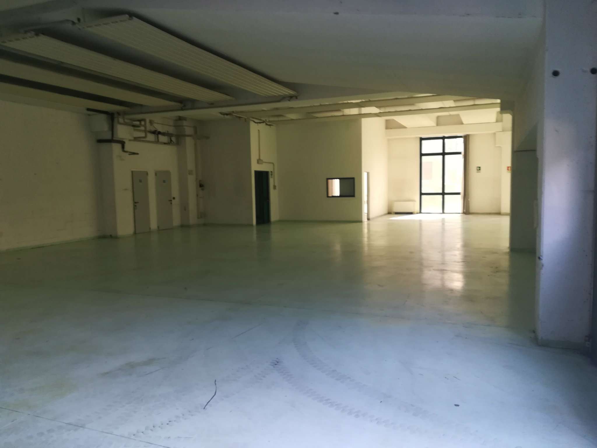 Capannoni (Tutti) TORINO affitto  FALCHERA canolico tancredi Studio Immobiliare Be.Ca sas