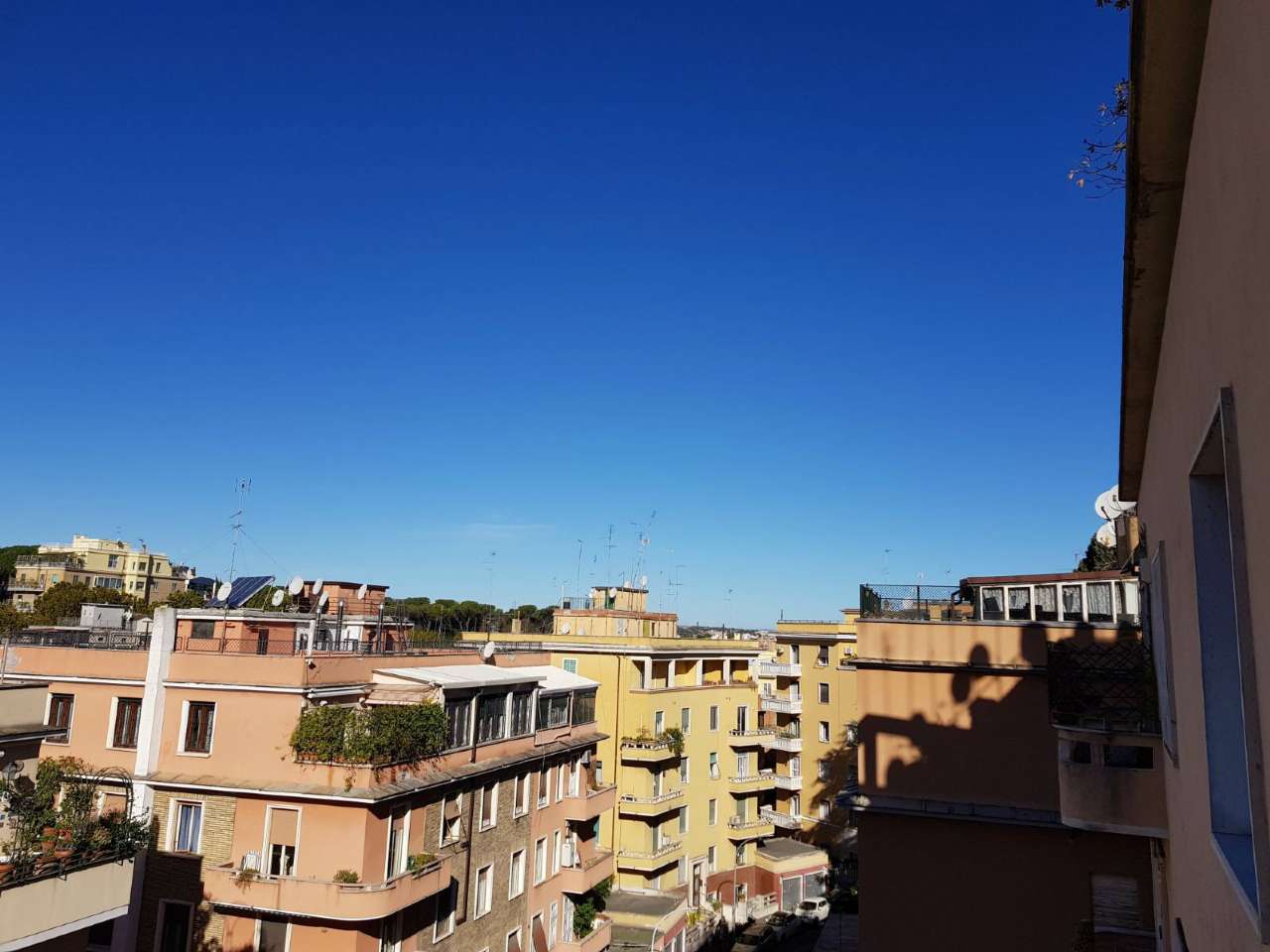 Appartamento ROMA vendita  FLAMINIO  ALBERTO CARONCINI Di Porto Immobiliare