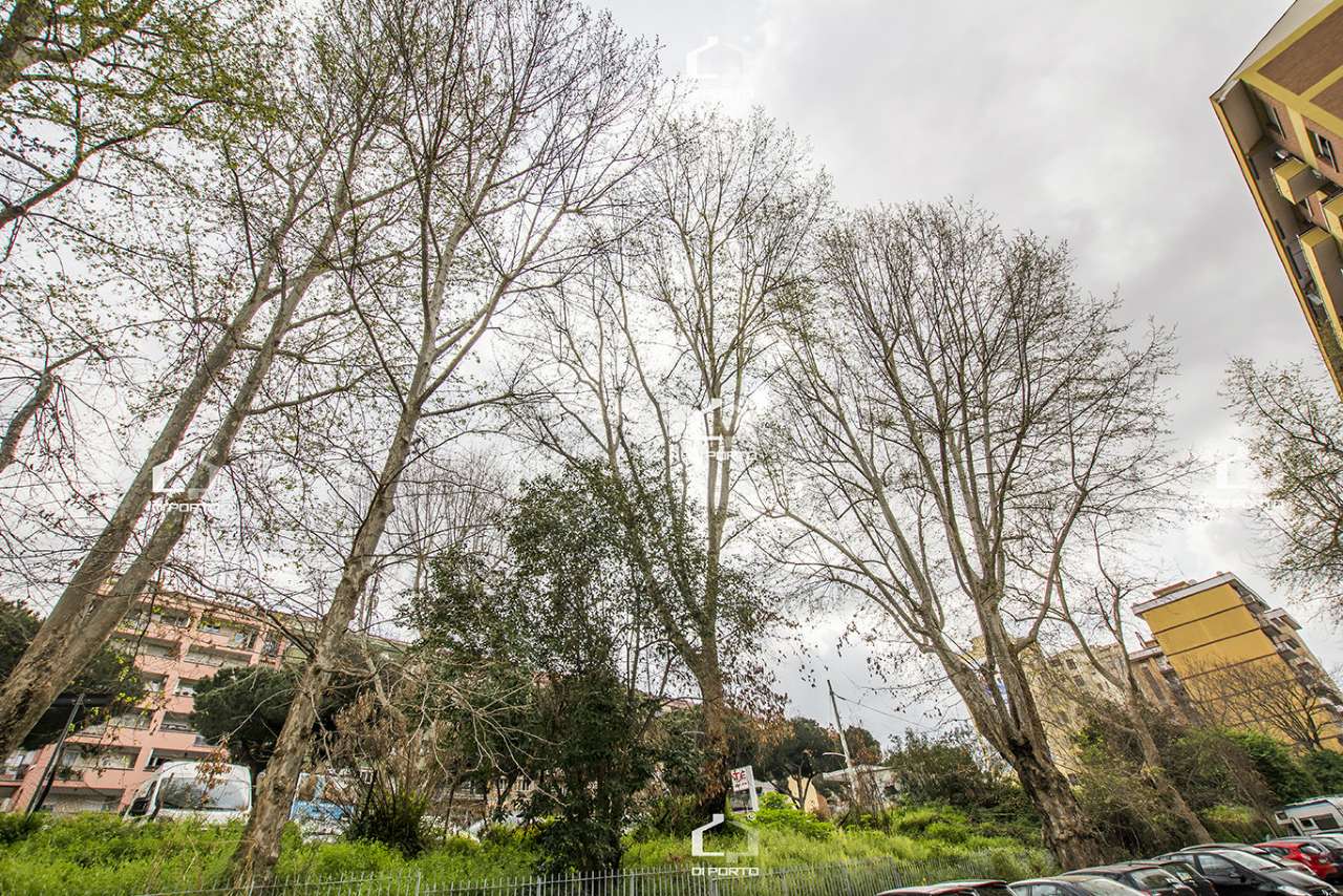 Negozio - Loc.Com. ROMA vendita  COLLI ALBANI dei Cessati Spiriti Di Porto Immobiliare