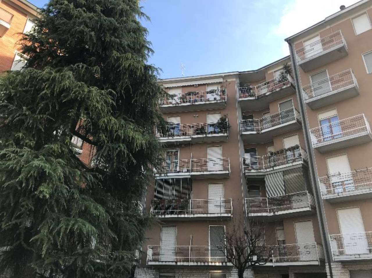 Appartamento CREMONA vendita   Via Orti Romani IMMOBILIARE IL TORRAZZO