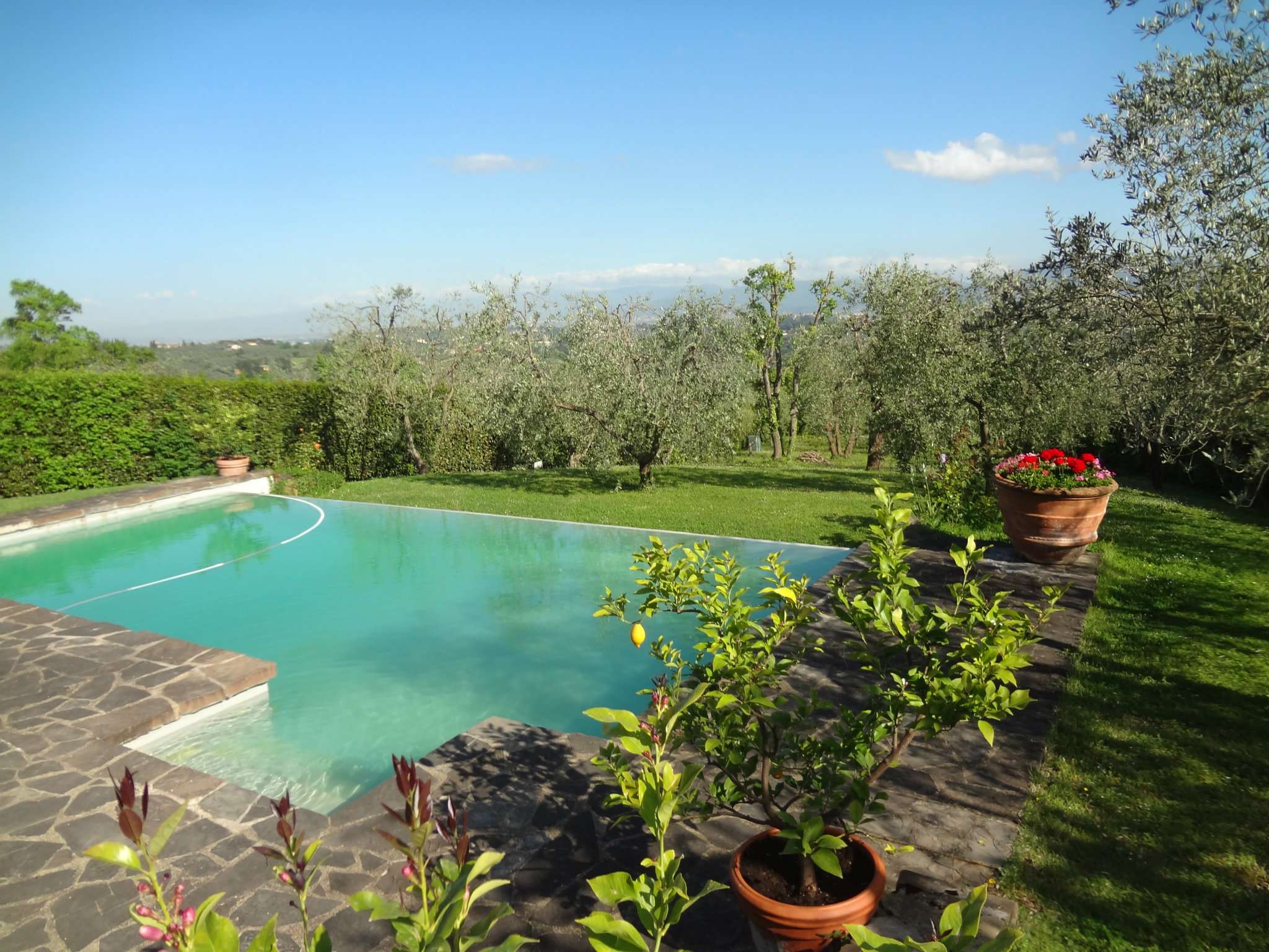  firenze vendita quart: collina sud vivere toscano di andrea vannini