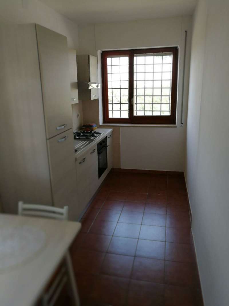 Appartamento ROMA affitto  ARDEATINO  VIA CASTELLUCCIA DI SAN PAOLO Bacci Immobiliare