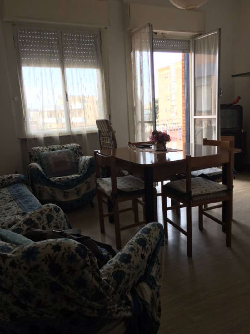 Appartamento NETTUNO vendita   VIA ALDO MORO Bacci Immobiliare