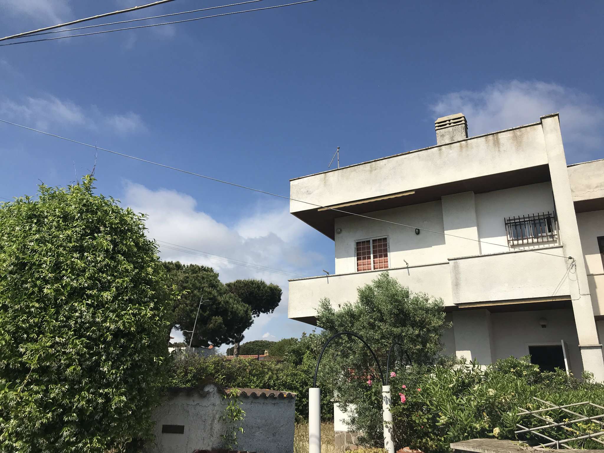 Villa ARDEA vendita   VIA DEI CICLAMINI Bacci Immobiliare