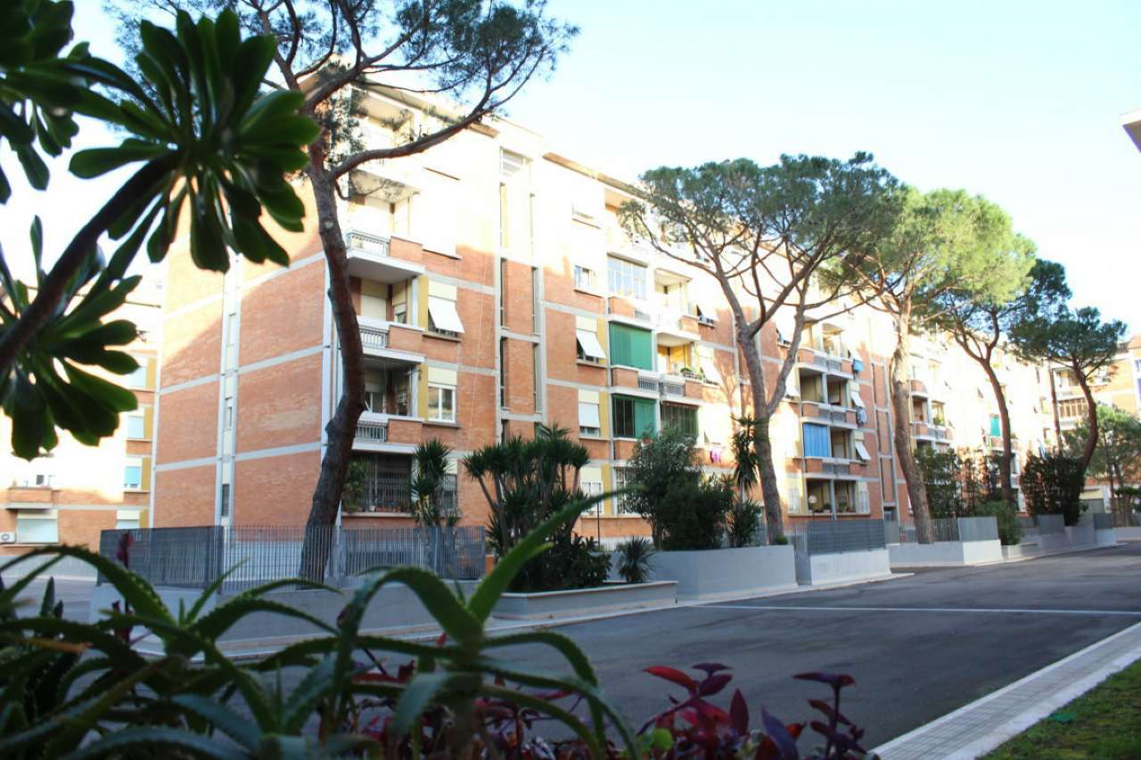 Appartamento ROMA vendita  SAN PAOLO Pincherle Gabetti - Agenzia San Paolo - ROMA