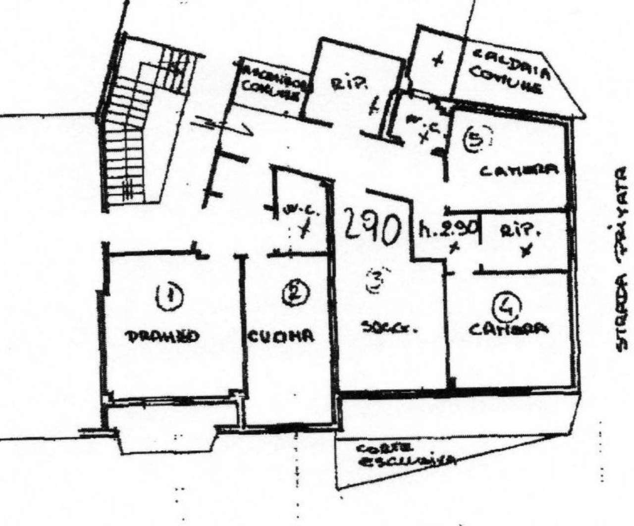 Appartamento MONTE ARGENTARIO vendita    D'ADDARIO IMMOBILIARE