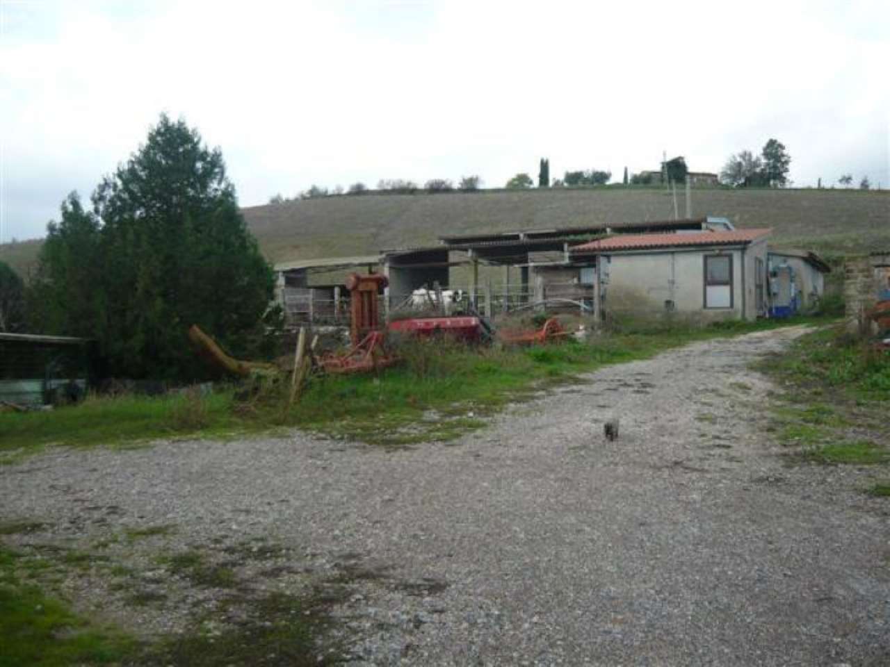 Rustico - Cascina MAGLIANO IN TOSCANA vendita    D'ADDARIO IMMOBILIARE