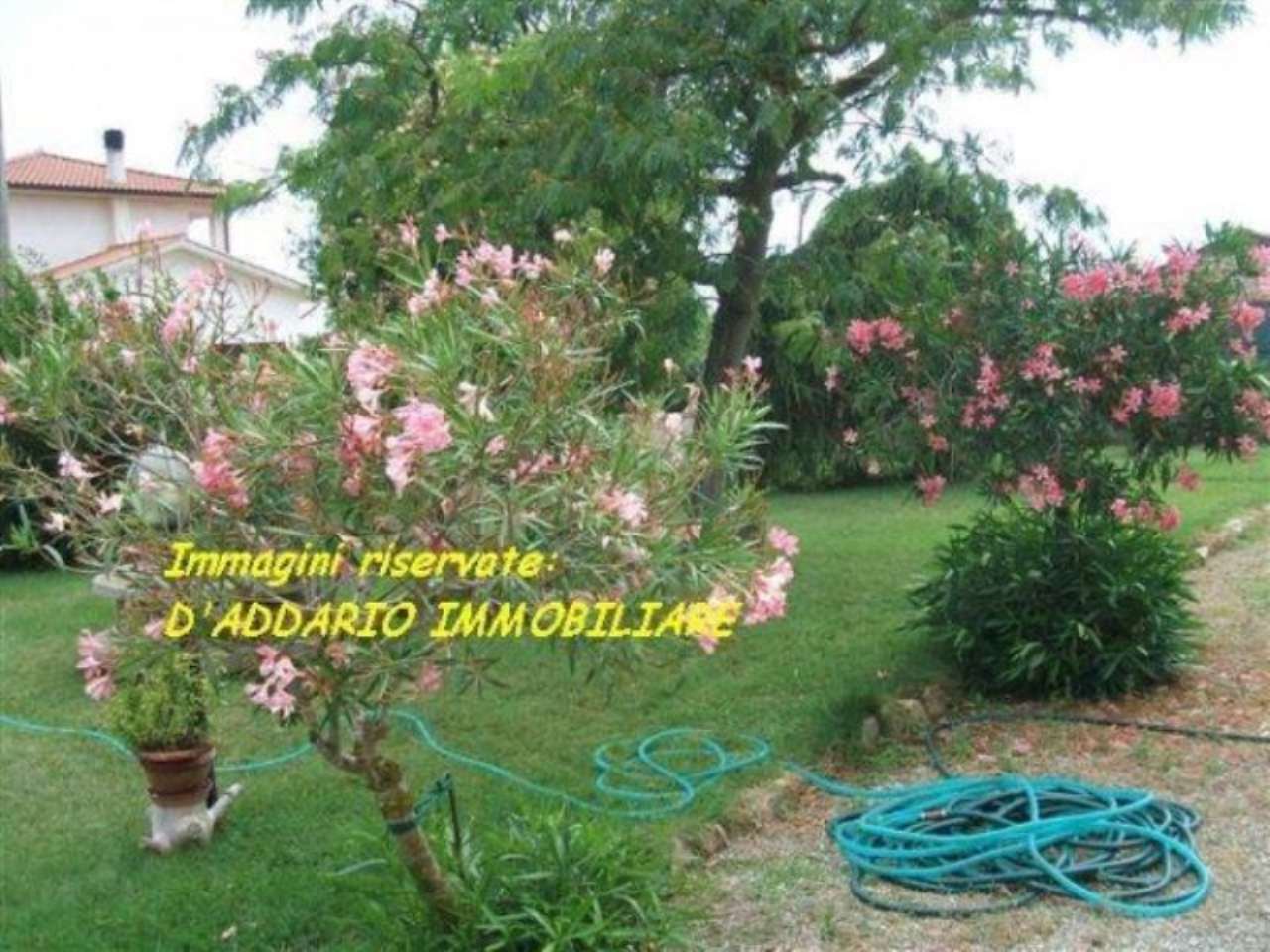 Villa Unifamiliare - Indipendente ORBETELLO vendita   Paolieri D'ADDARIO IMMOBILIARE