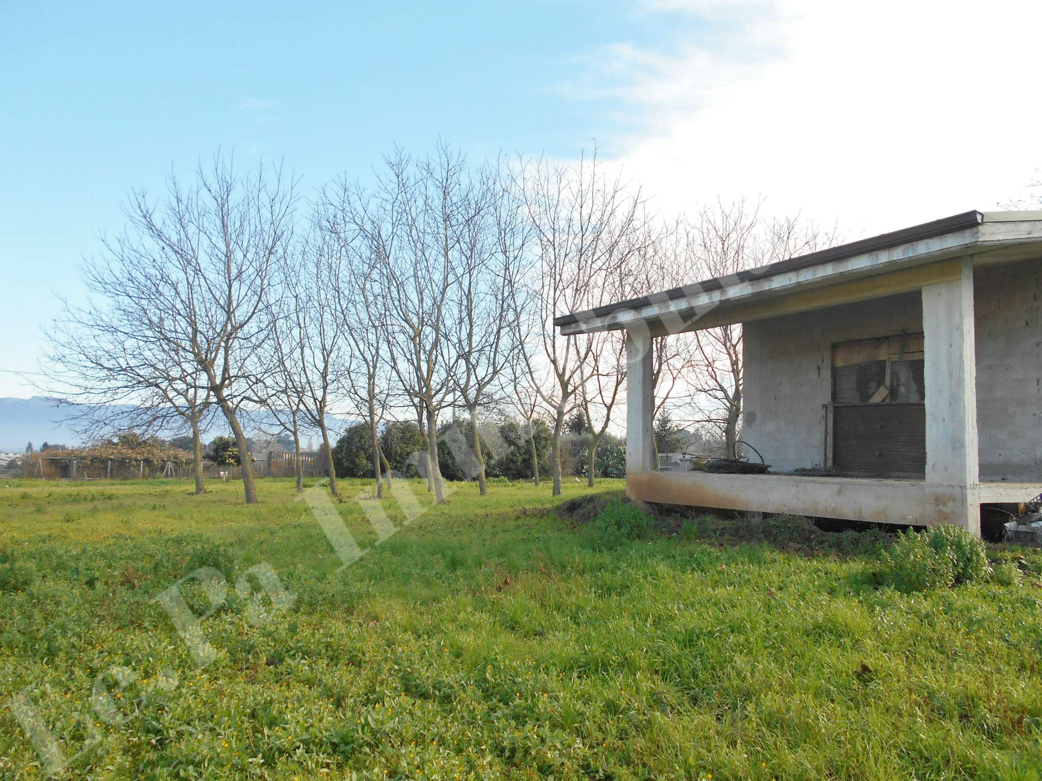 Rustico - Cascina SAN CESAREO vendita   del Turchino Le.pa Immobiliare srl