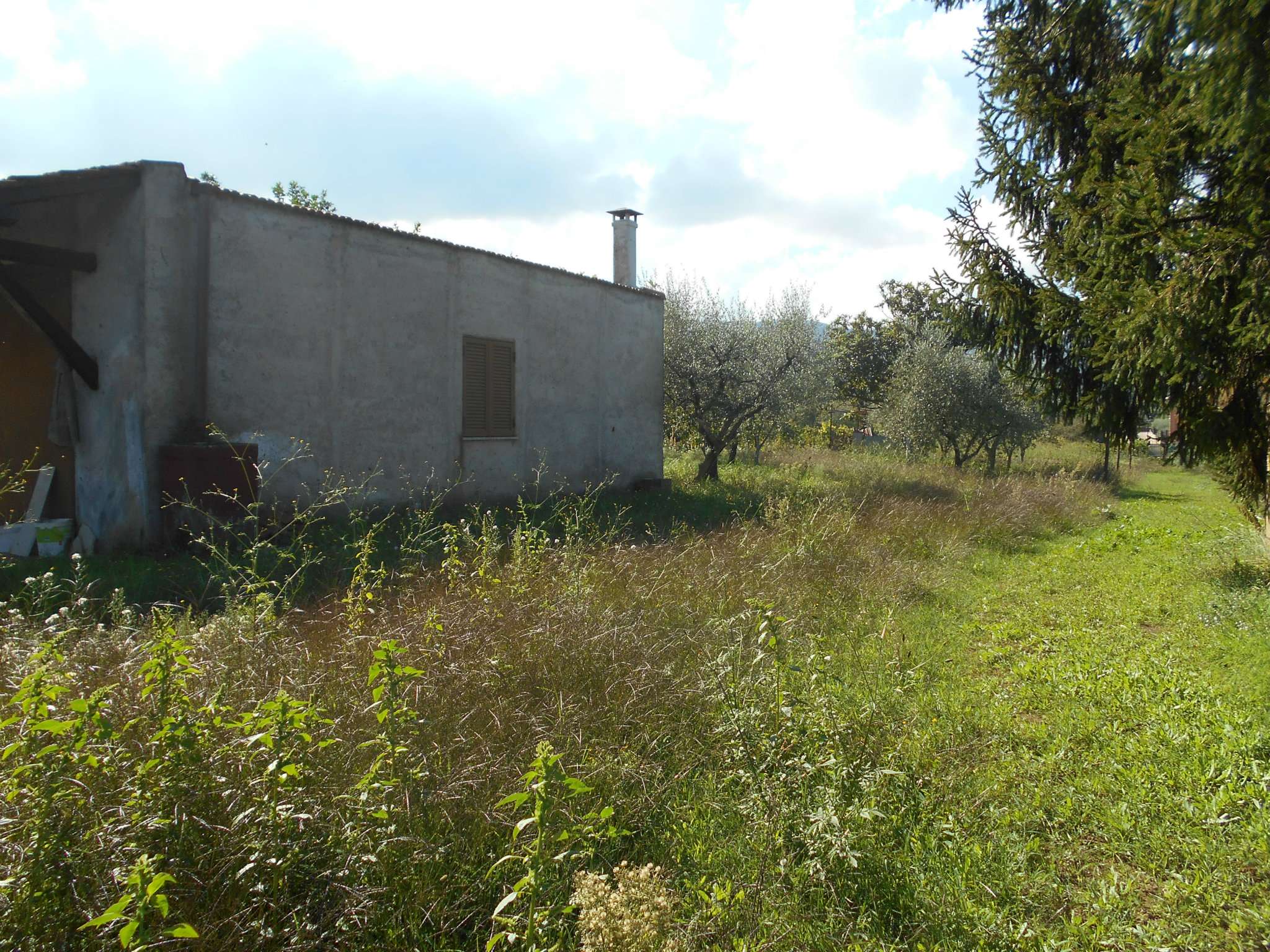 Rustico - Cascina SAN CESAREO vendita   Radicofani Le.pa Immobiliare srl