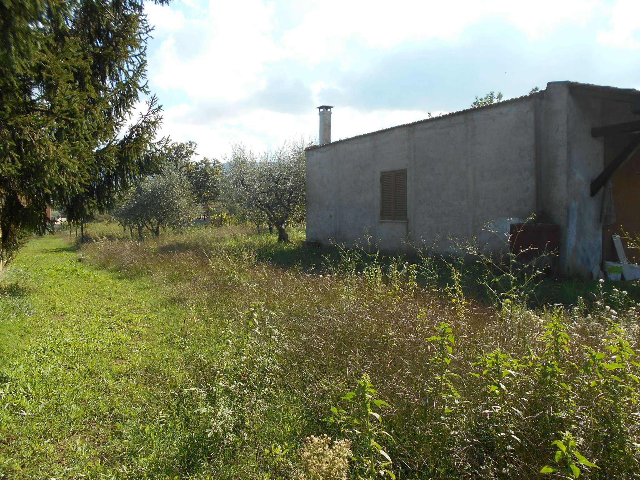 Rustico - Cascina SAN CESAREO vendita   Radicofani Le.pa Immobiliare srl