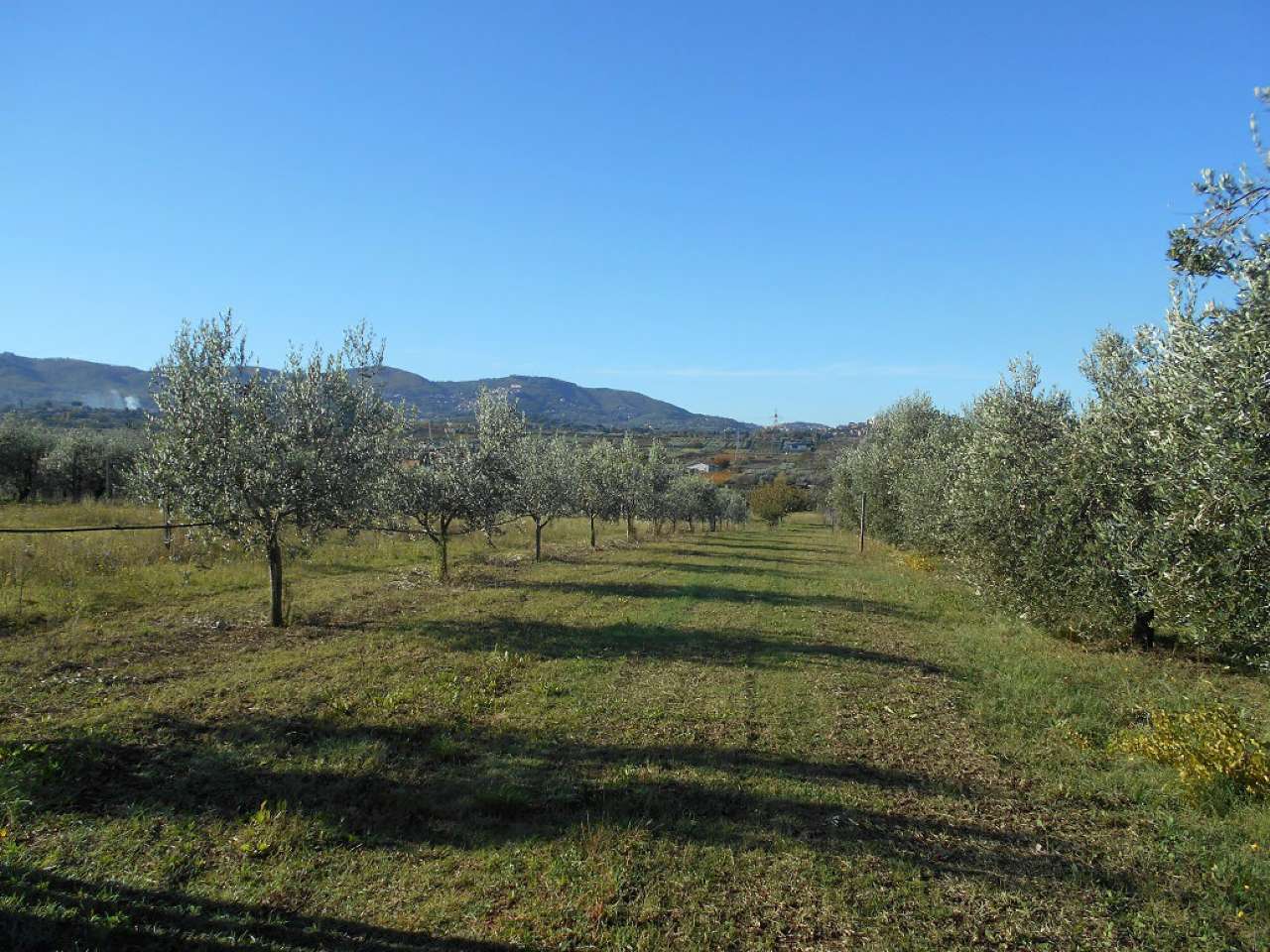 Rustico - Cascina SAN CESAREO vendita   dei Quarticcioli Le.pa Immobiliare srl