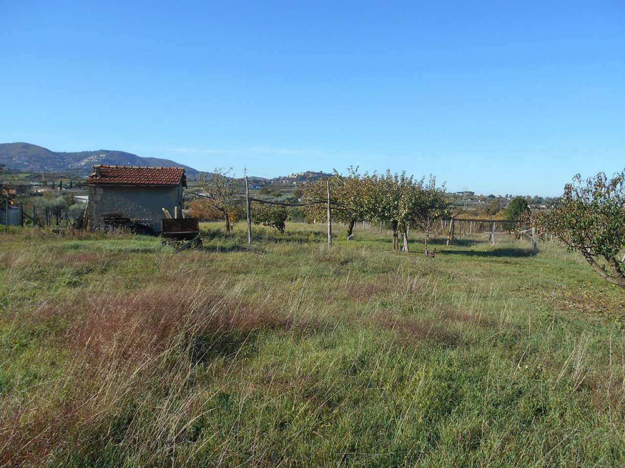 Rustico - Cascina SAN CESAREO vendita   dei Quarticcioli Le.pa Immobiliare srl