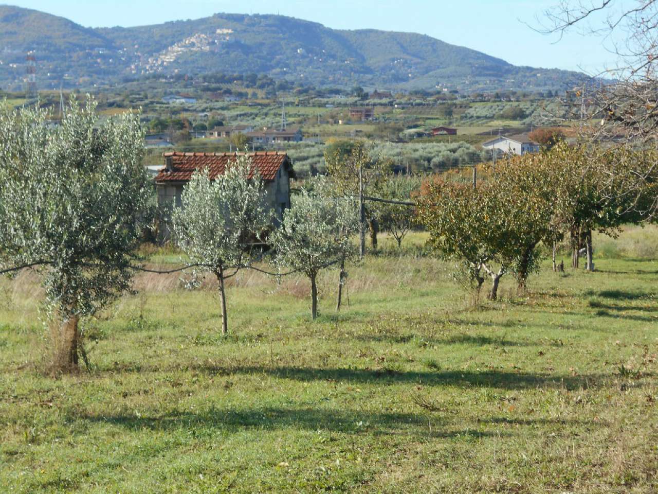 Rustico - Cascina SAN CESAREO vendita   dei Quarticcioli Le.pa Immobiliare srl