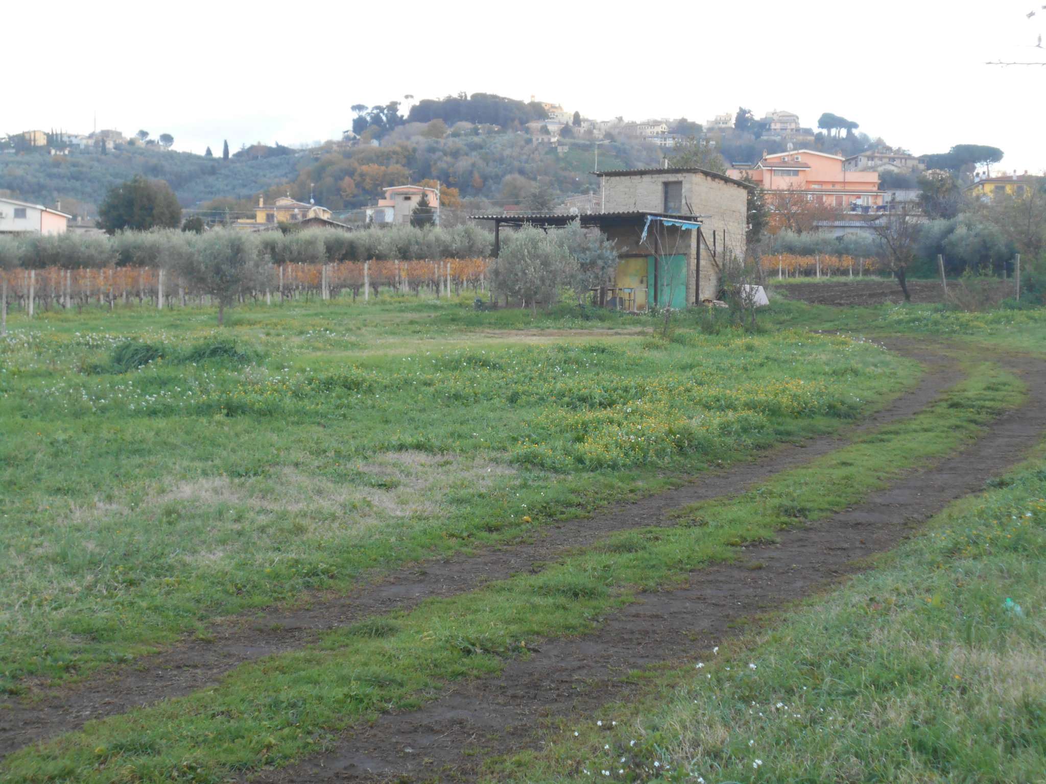 Rustico - Cascina SAN CESAREO vendita   dei vimini Le.pa Immobiliare srl