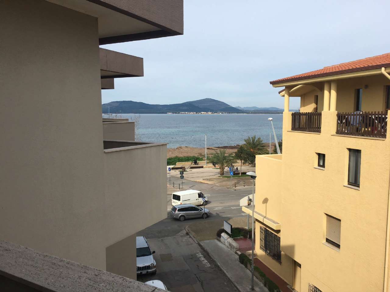 Appartamento ALGHERO affitto    Agenzia Immobiliare Alghero.it