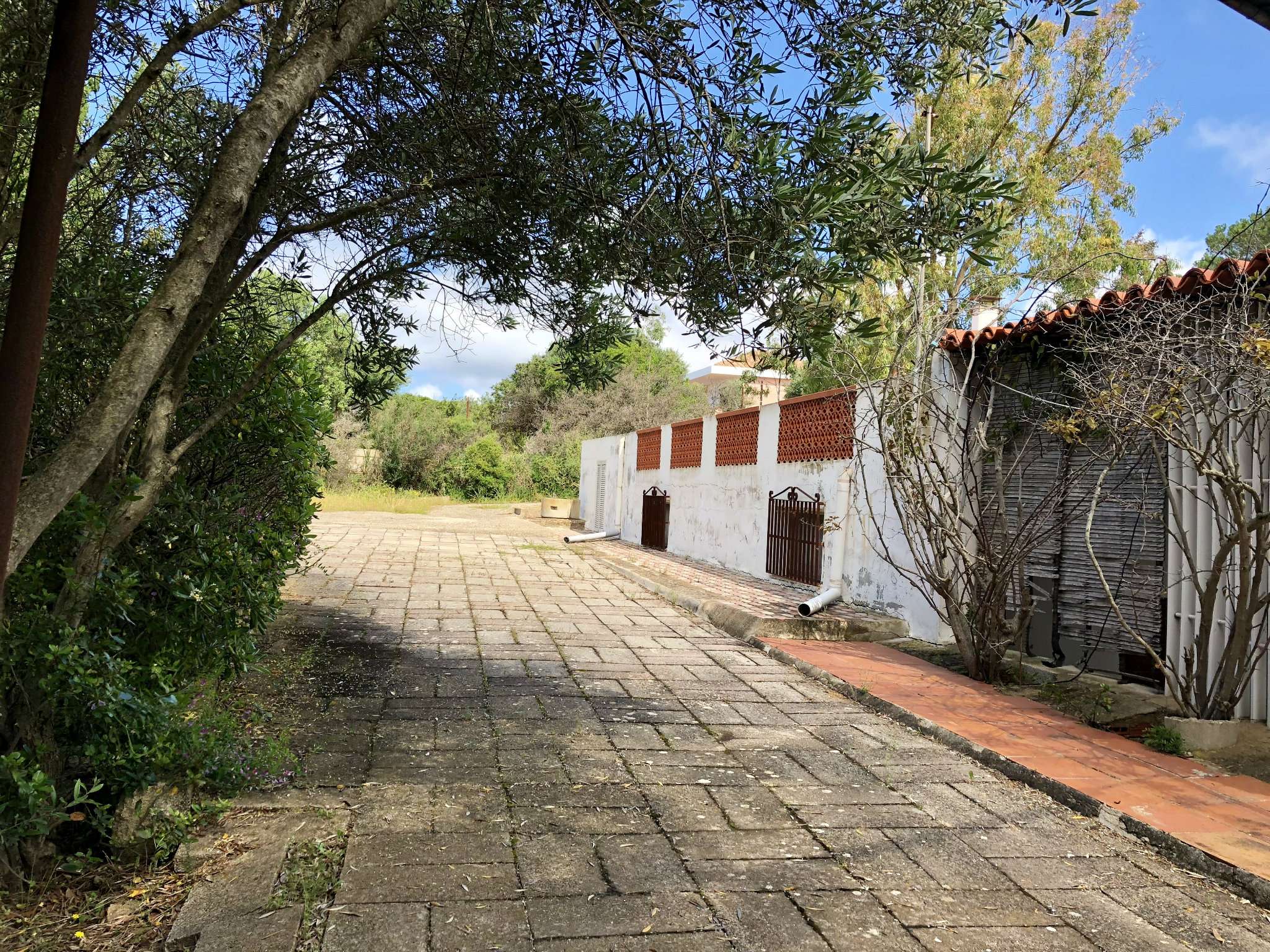 Villa Unifamiliare - Indipendente ALGHERO vendita   Strada provinciale 105 Alghero-Bosa Agenzia Immobiliare Alghero.it