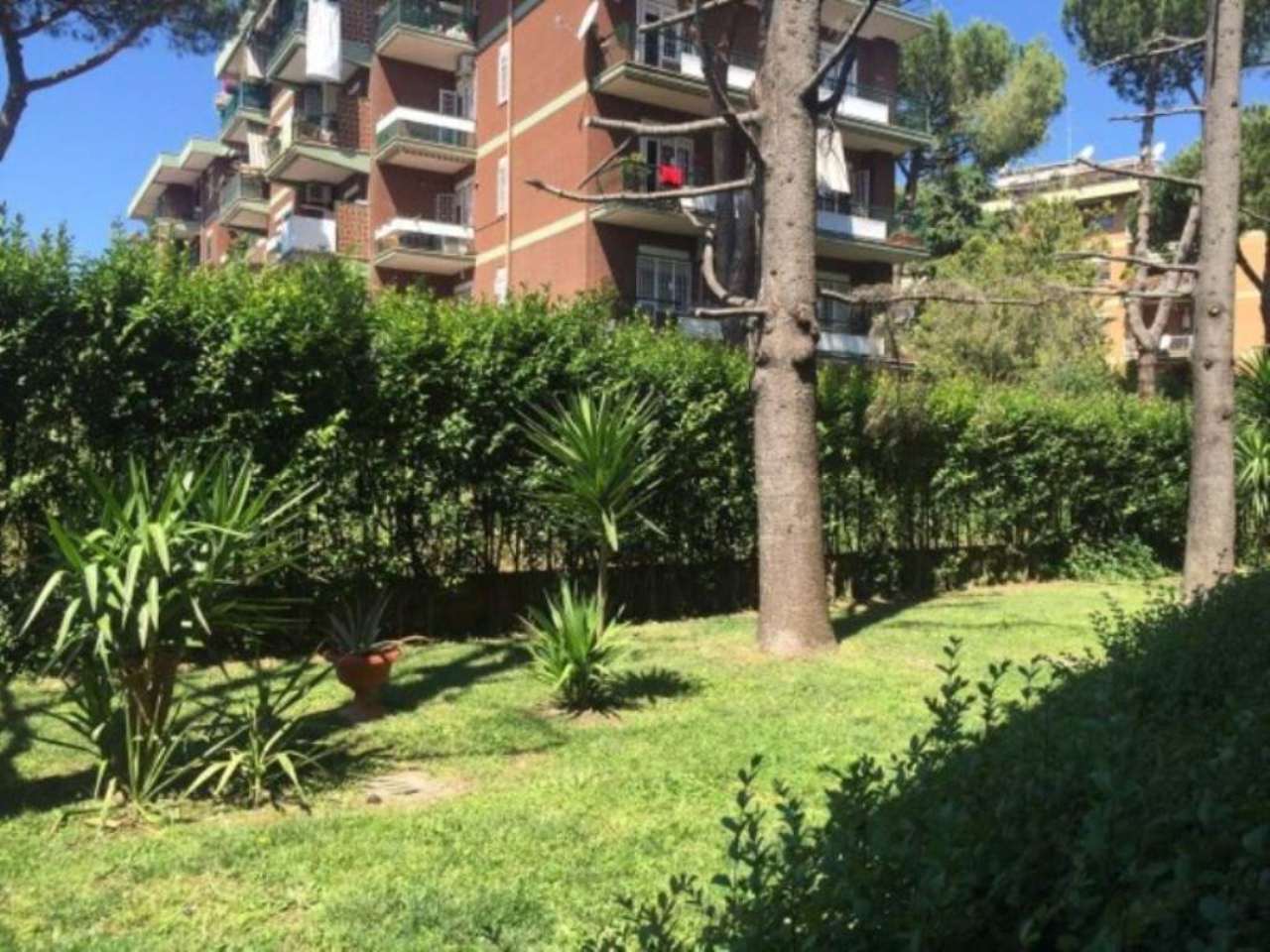 Attico ROMA vendita  PORTUENSE (XV MUN.) del Bosco degli Arvali Fabrizio Franchini Servizi Immobiliari