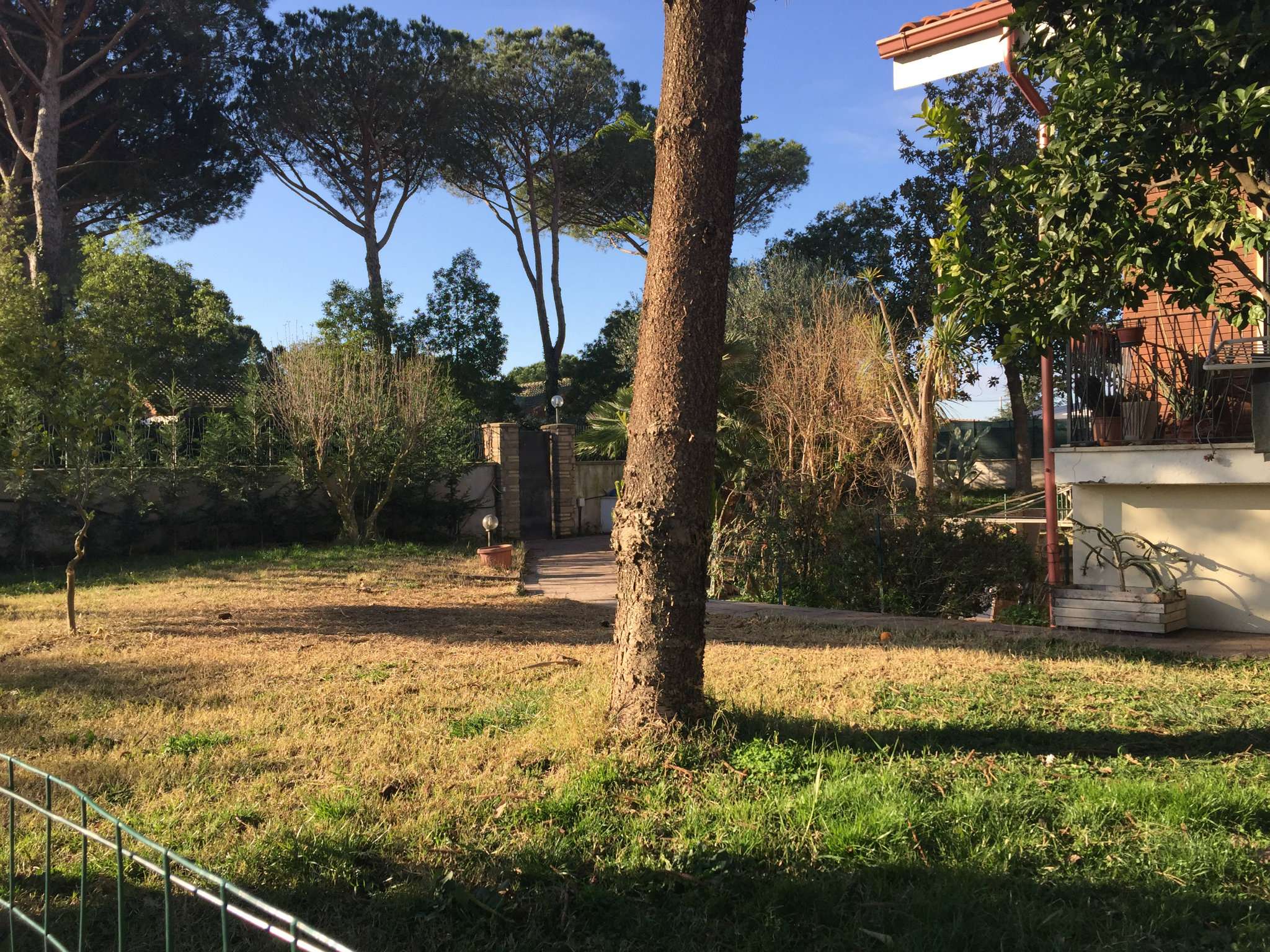 Villa Trifamiliare FIUMICINO vendita   emilio girardini Immobiliare Casetta Mattei 2015 srl