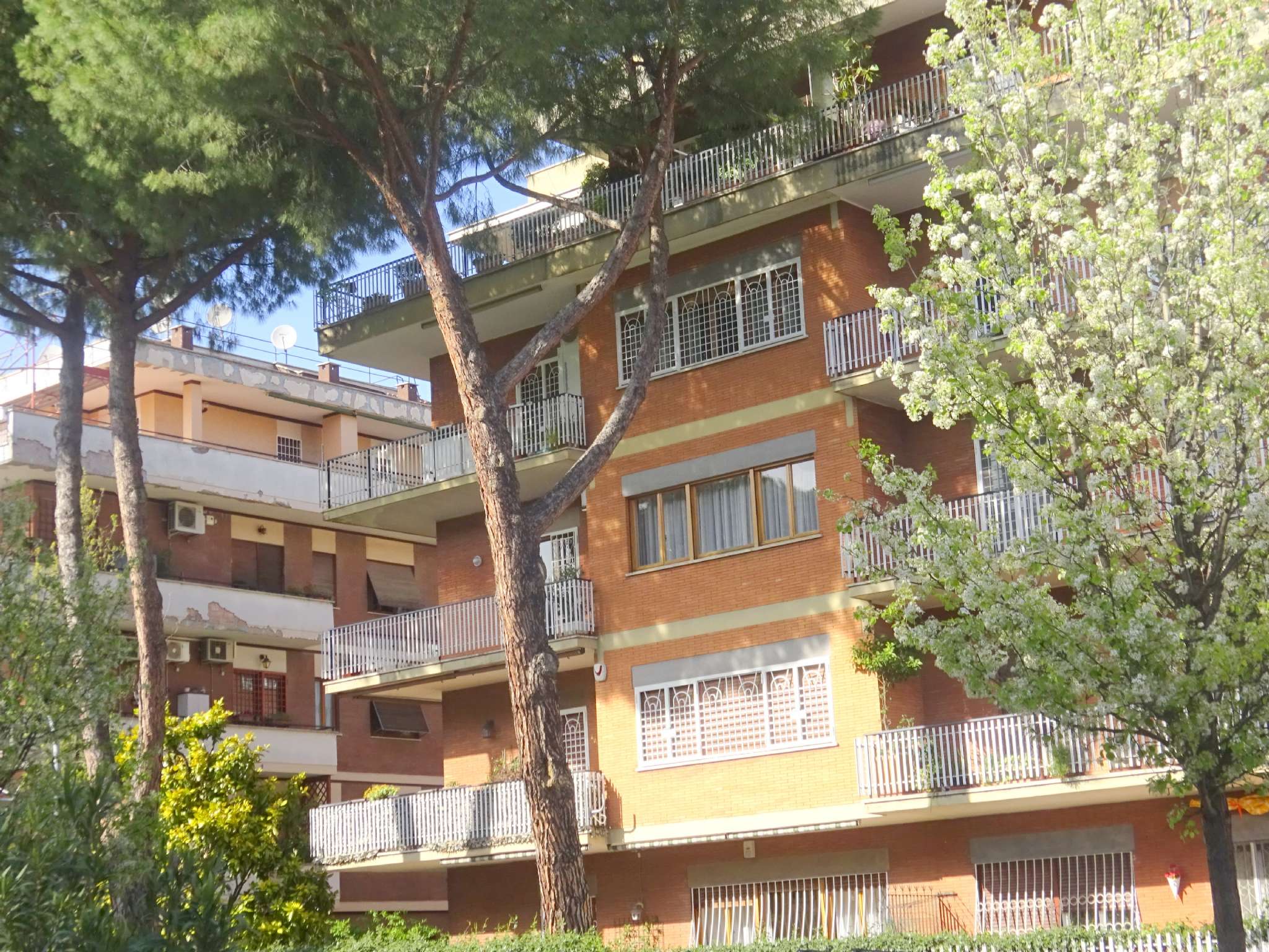 Appartamento ROMA vendita  TUSCOLANO (VI MUN.) Via Lemonia - Parco degli Acquedotti Cinzia Licata