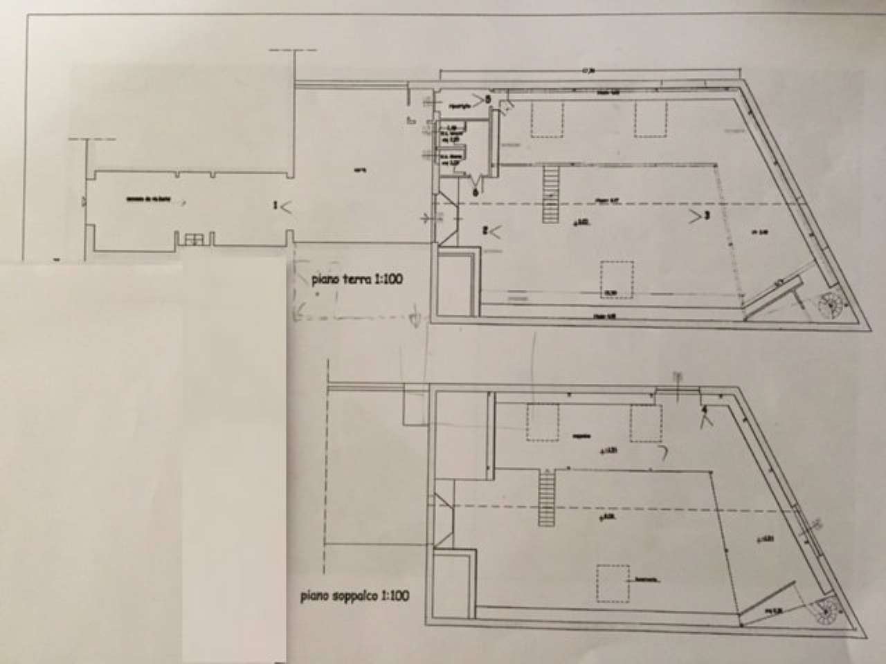 Capannoni (Tutti) FIRENZE vendita  BELLARIVA  IMITALIA di Sara Magnani