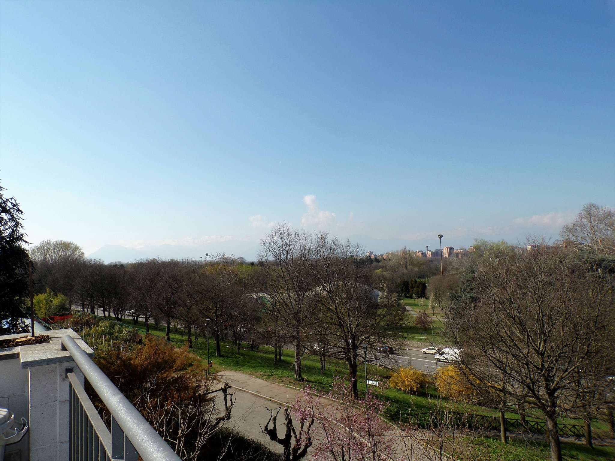 Appartamento TORINO vendita  CAMPIDOGLIO angelo sismonda Immobiliare Cenisia Sas