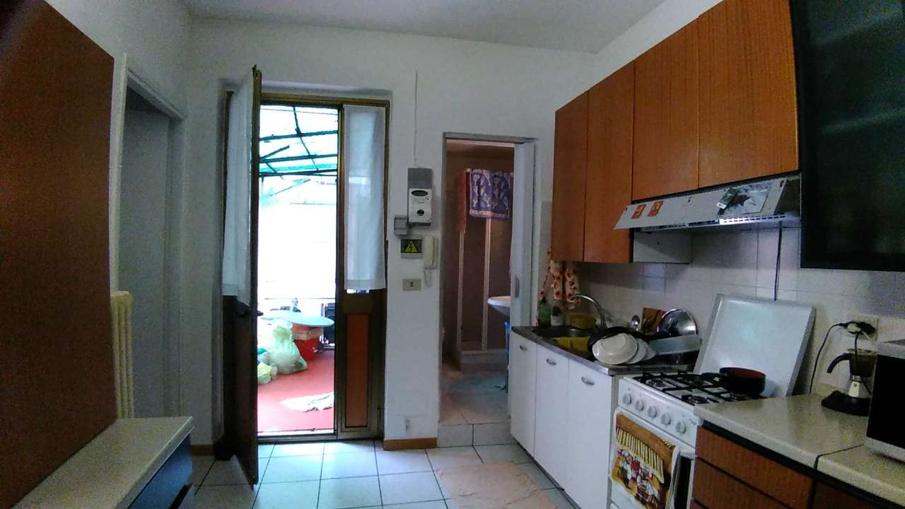 Appartamento MONCALIERI affitto   Bellini Sky House Srl
