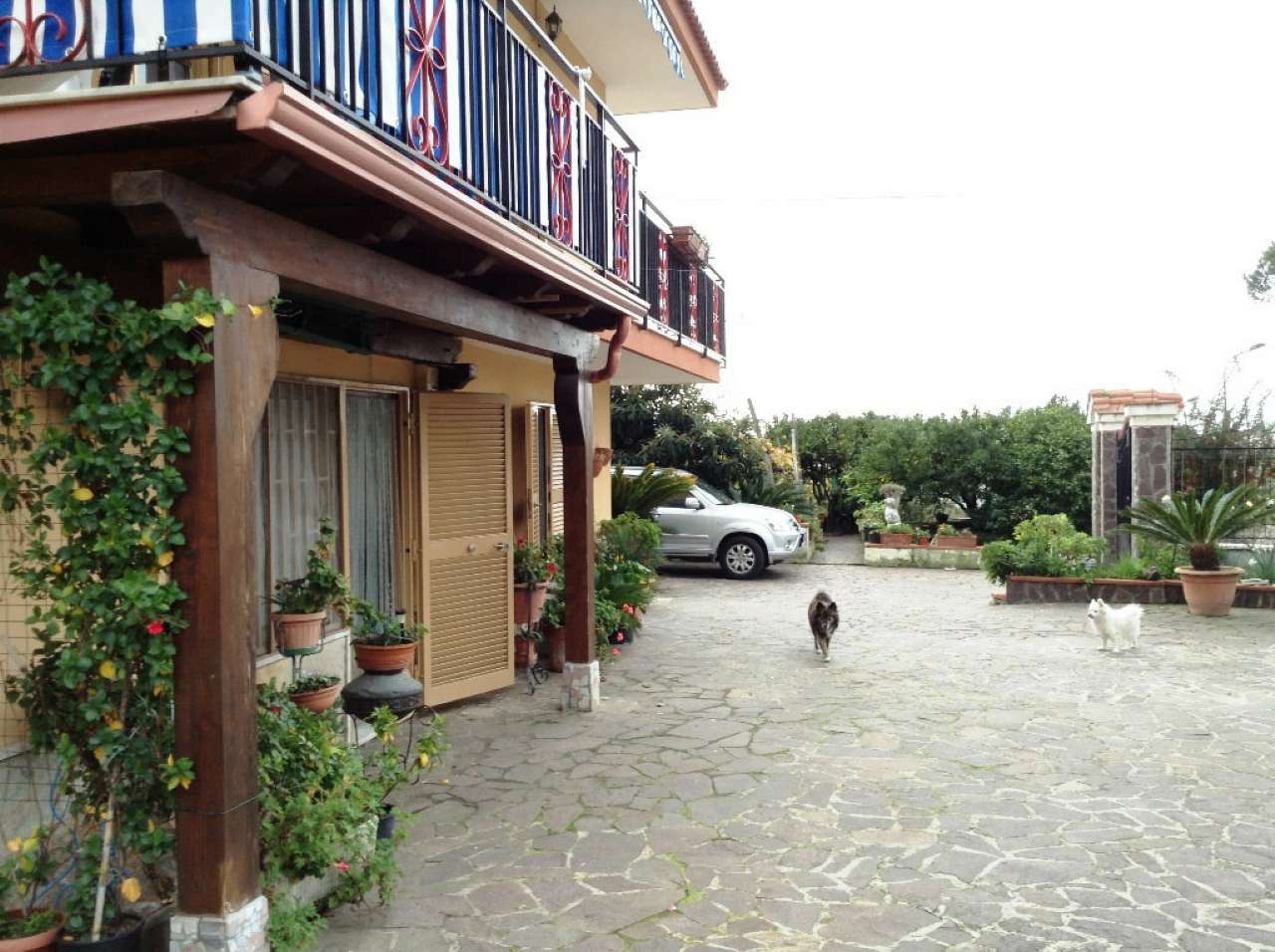 Appartamento TORRE DEL GRECO vendita   VIA RUGGIERO SANNINO IMMOBILIARE S.A.S.