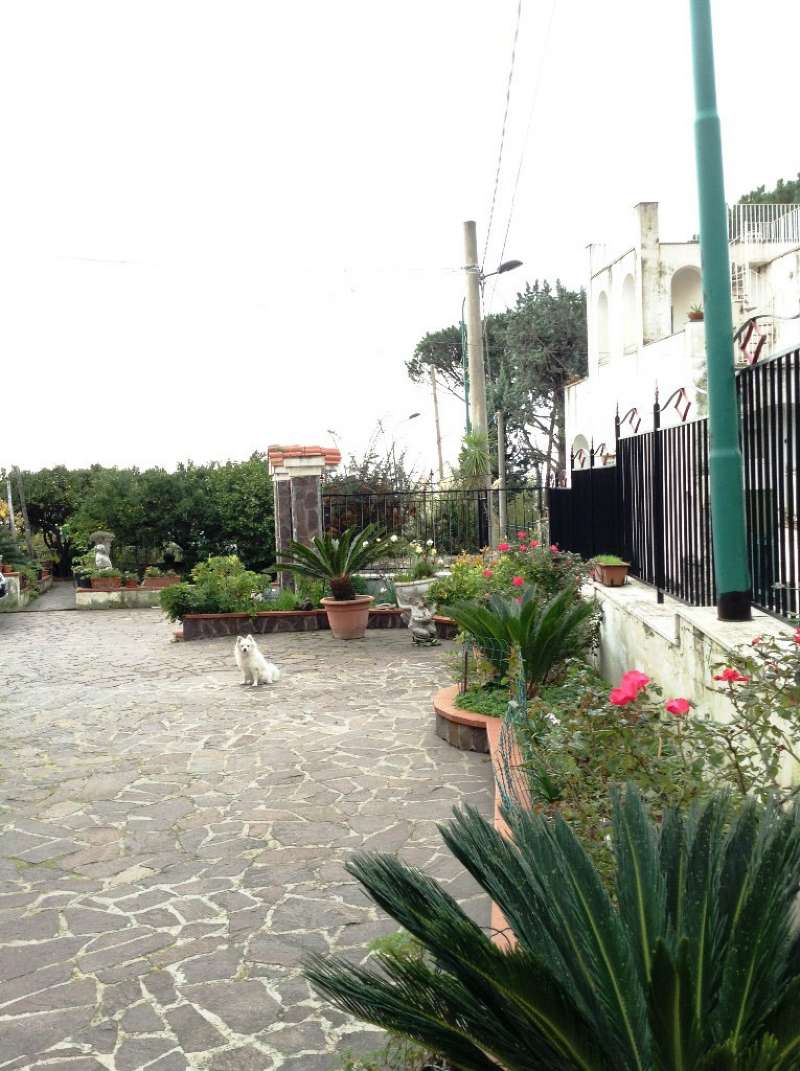 Appartamento TORRE DEL GRECO vendita   VIA RUGGIERO SANNINO IMMOBILIARE S.A.S.