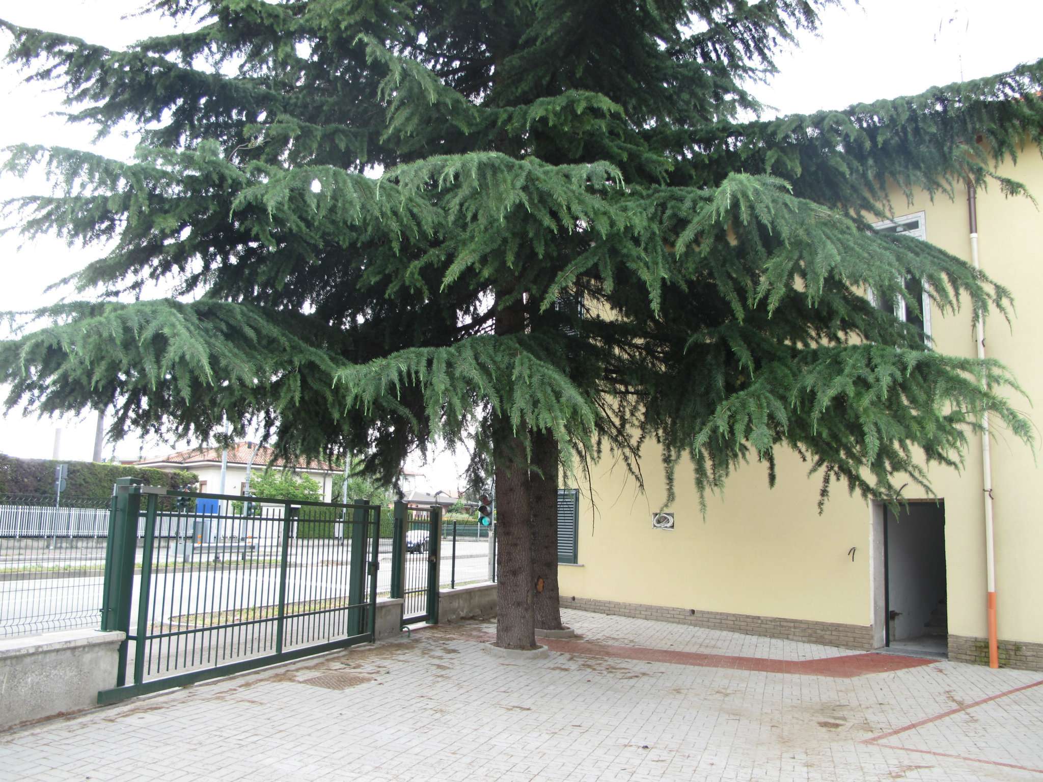 Villa Unifamiliare - Indipendente GALLARATE vendita   Lario IMMOBILIARE MAMELI 24 srl