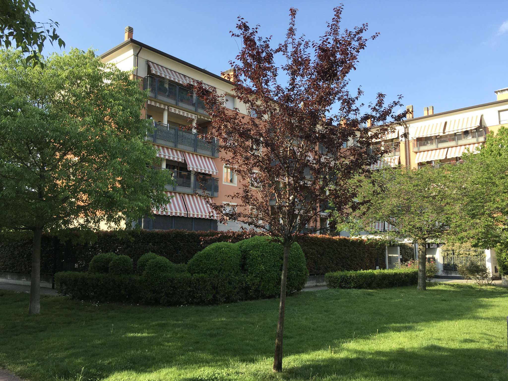  busto arsizio vendita quart:  immobiliare mameli 24 srl