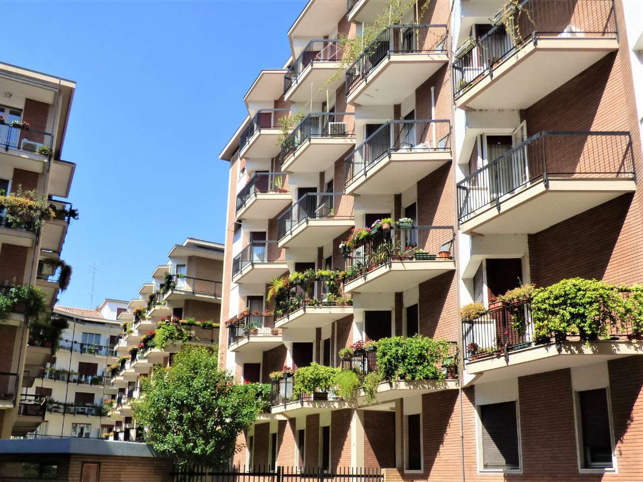  verona vendita quart: borgo trento cangrande immobiliare del geom. francesco savino