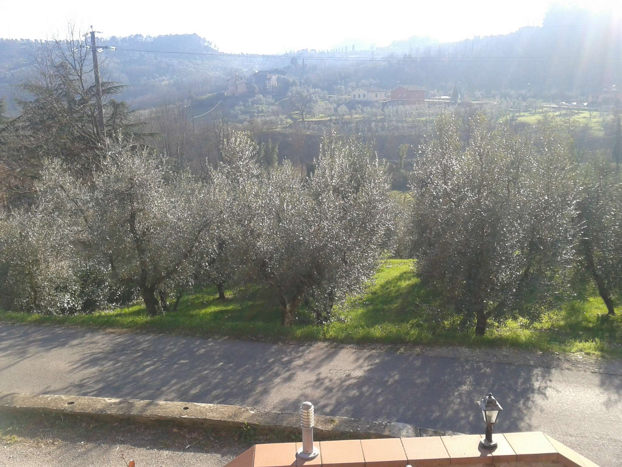 Stabile intero - Palazzo MONTECATINI-TERME vendita    Agescom