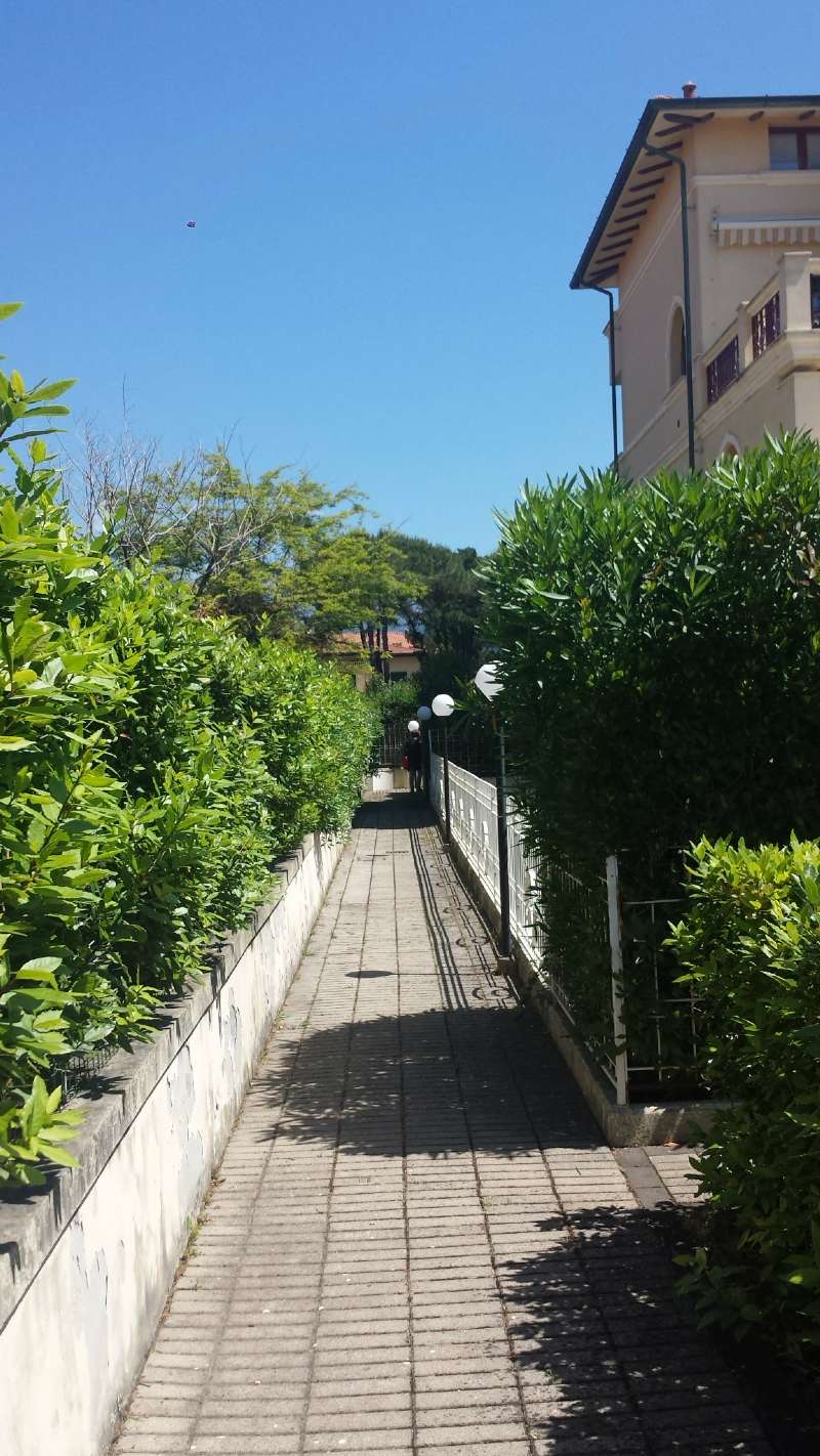 Appartamento MASSA vendita   VIA PISA 1 Agescom