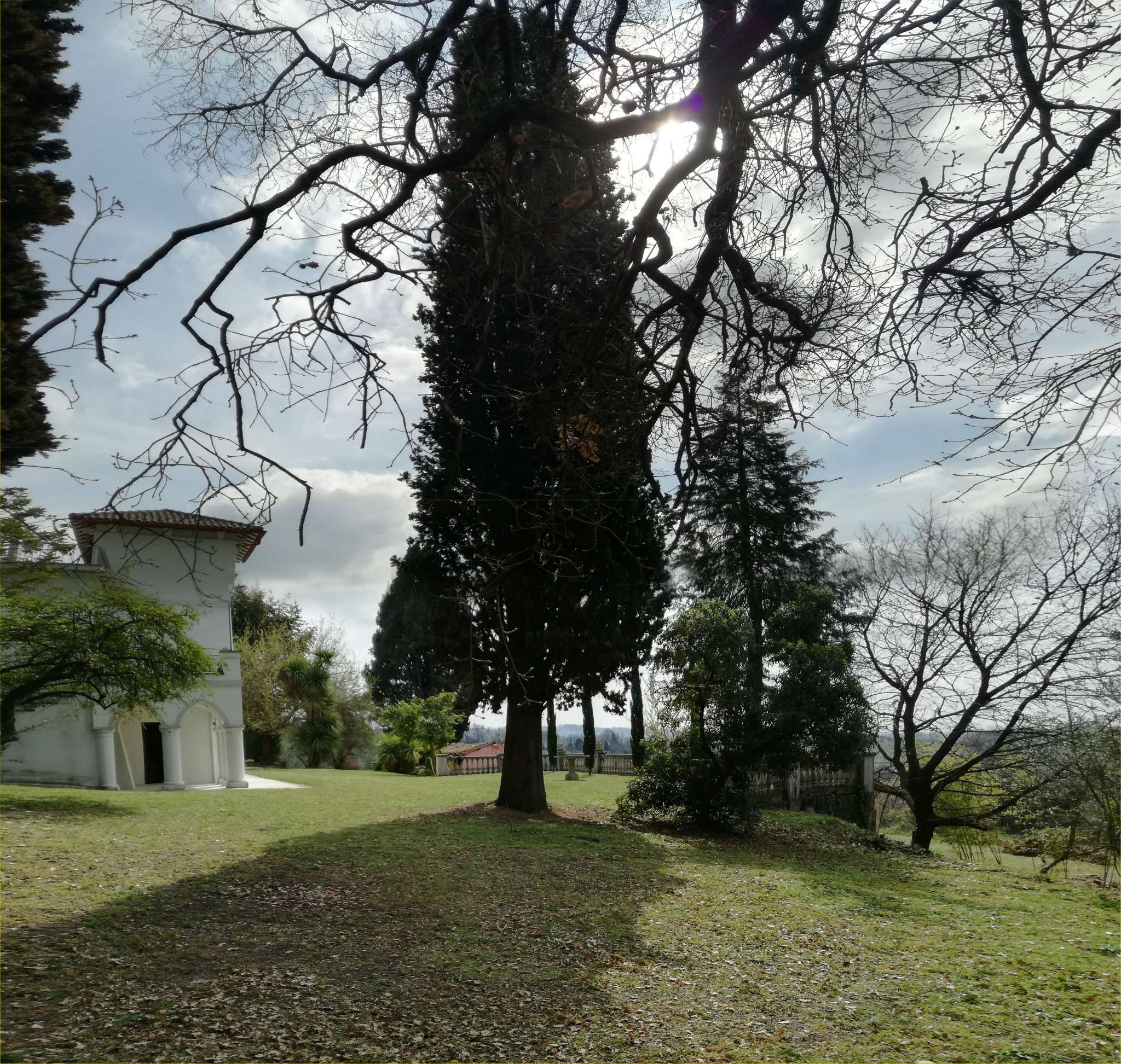 Villa Trifamiliare POGGIO MIRTETO vendita   Sant'Angelo Link Immobiliare