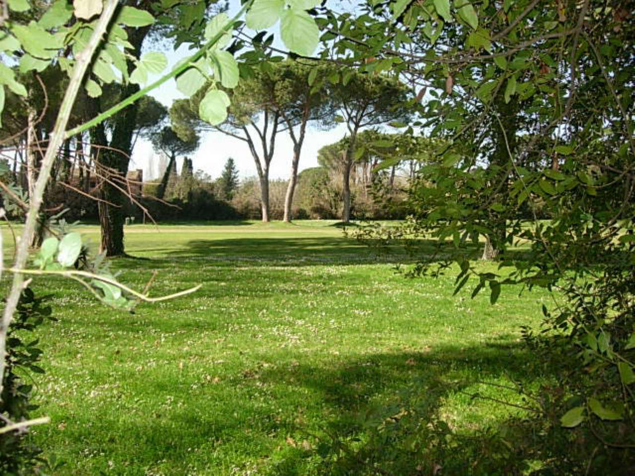 Villa Trifamiliare ROMA vendita  OLGIATA Olgiata Link Immobiliare