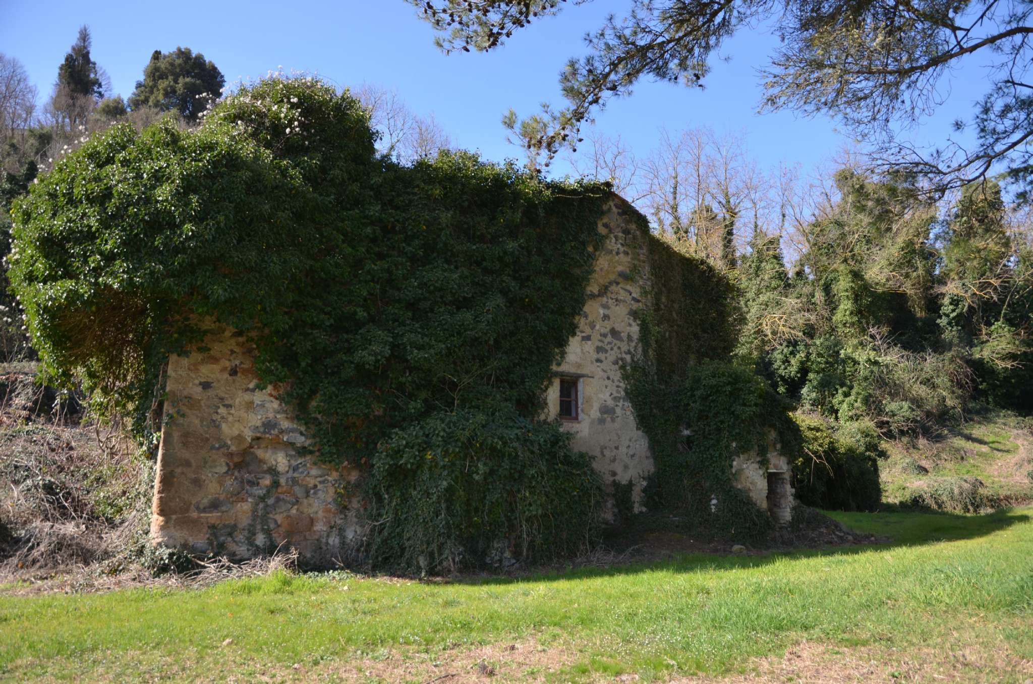  orvieto vendita quart:  link-immobiliare