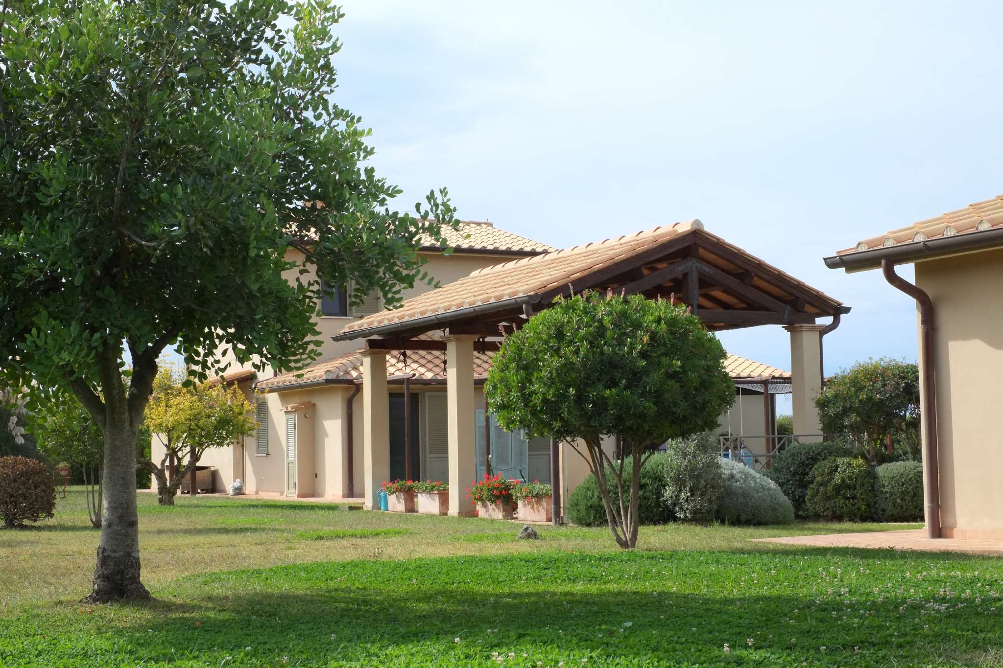  capalbio vendita quart:  link-immobiliare